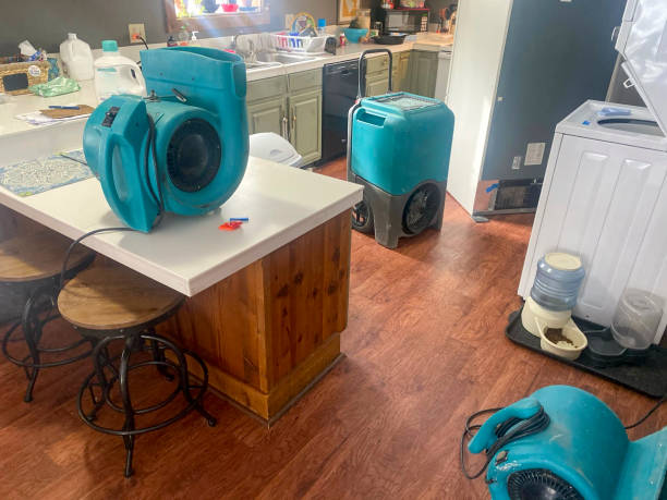 Best Residential water damage restoration  in Lacoochee, FL