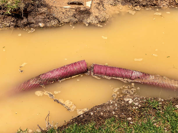  Lacoochee, FL Water damage restoration Pros
