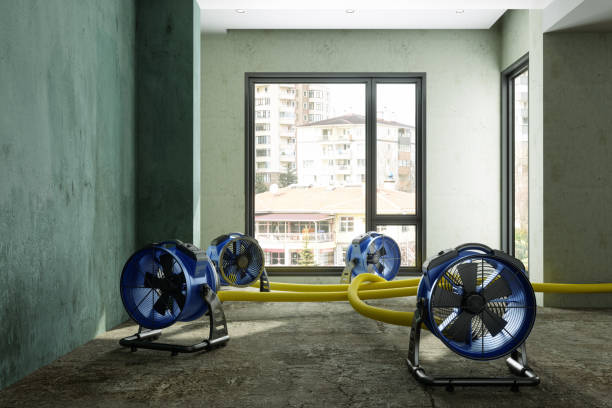 Best Ceiling water damage repair  in Lacoochee, FL
